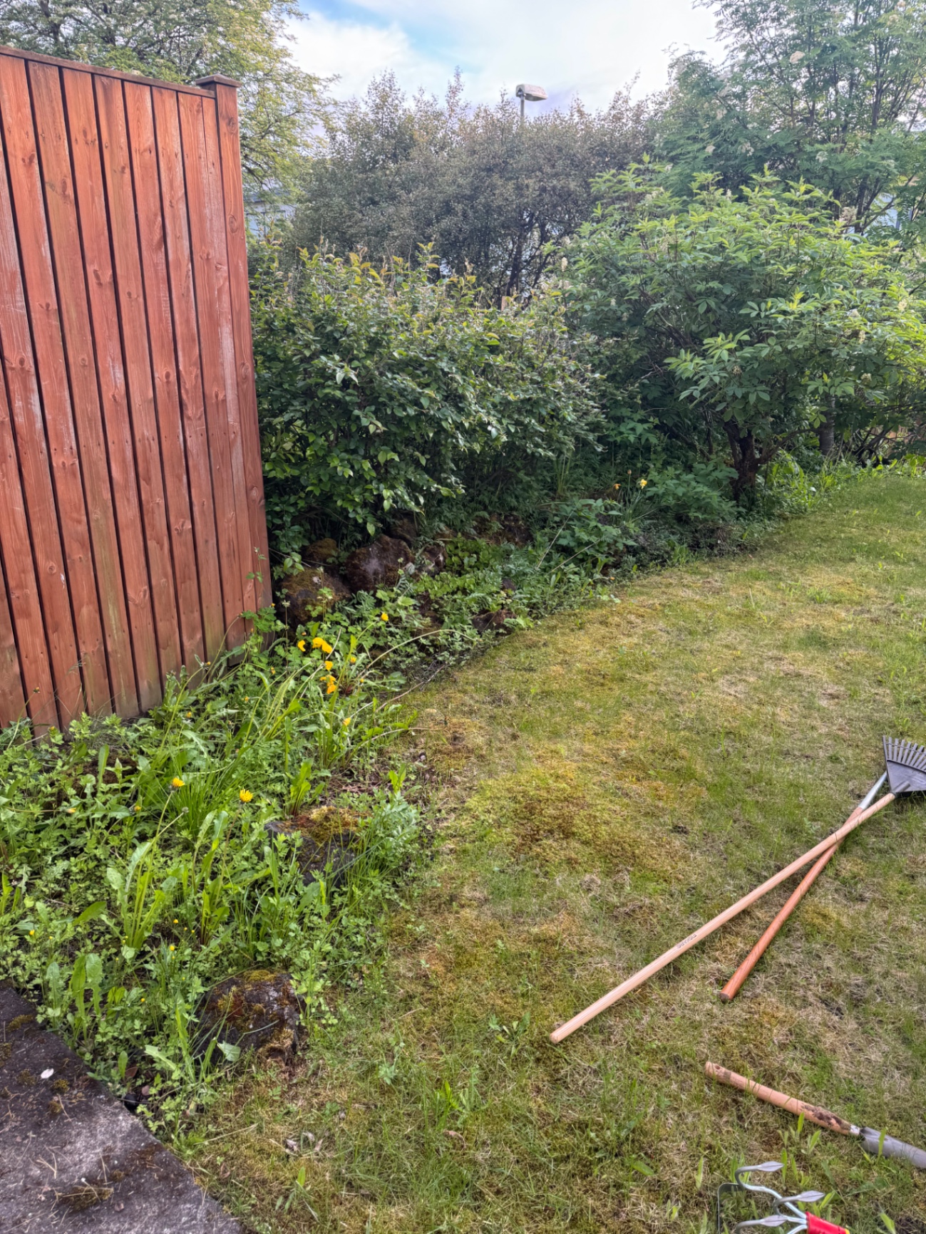 Beðahreinsun og runnaklipping — fyrir